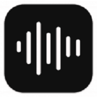 voice recorder pro 9.2.1安卓版