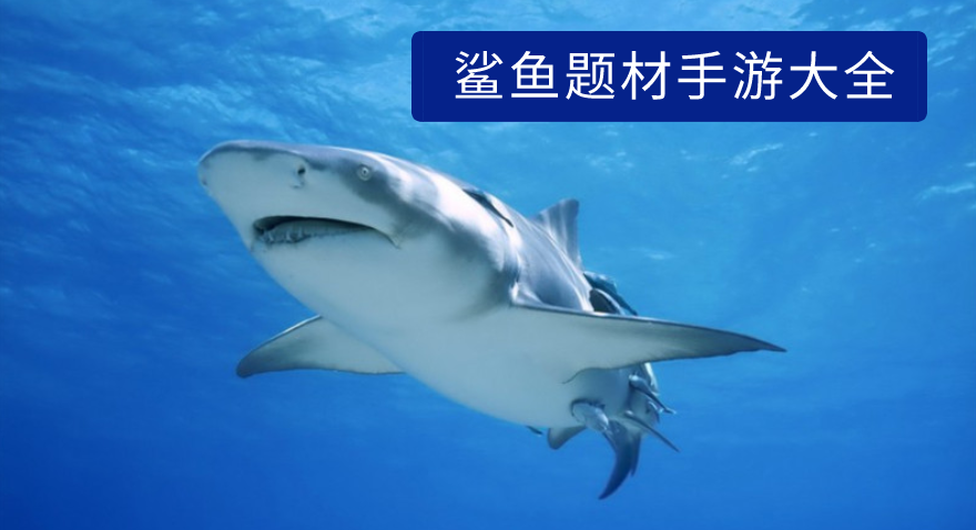 鲨鱼题材手游top10