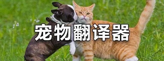 免费的动物翻译app合集