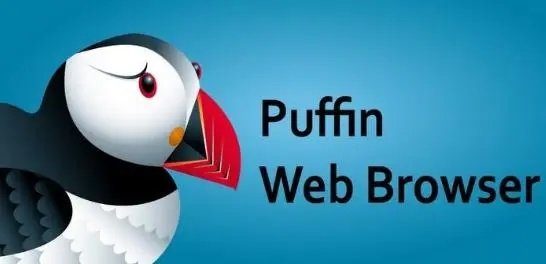puffin浏览器全部版本