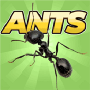 口袋蚂蚁模拟器安卓版